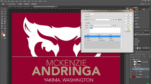 Generate Images From Data Sets in Photoshop